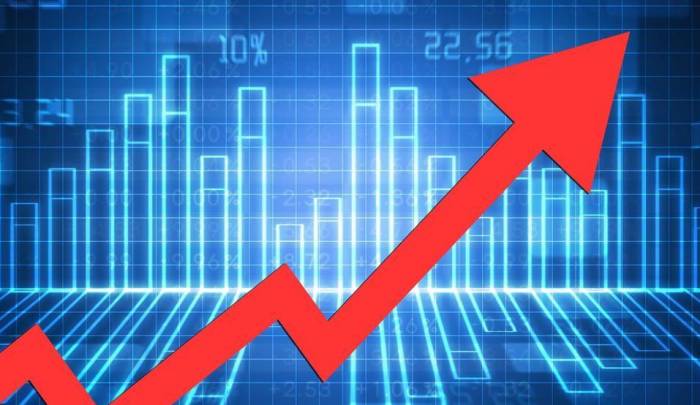 Global Market Share Leader's Stock Plunges Over 15%